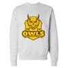 Unisex EcoSmart® Crewneck Sweatshirt Thumbnail