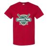 Heavy Cotton™ T-Shirt 1 Thumbnail