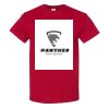 Heavy Cotton™ T-Shirt 1 Thumbnail