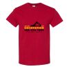 Heavy Cotton™ T-Shirt 1 Thumbnail