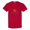 Heavy Cotton™ T-Shirt 1 Thumbnail