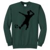 Core Fleece Crewneck Sweatshirt Thumbnail